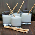 World Centric Compostable Kraft Paper Straws