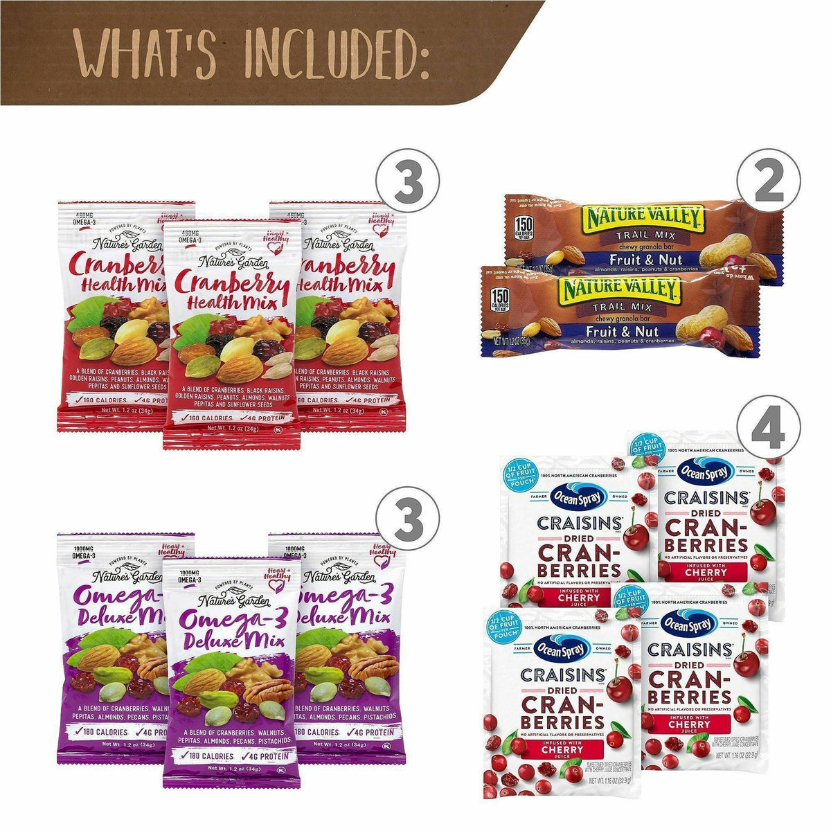 Snack Box Pros Fruits & Nuts Snack Box