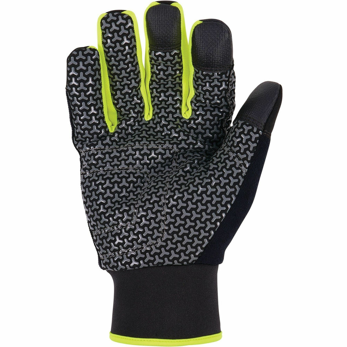 Ergodyne ProFlex 850 Insulated Freezer Gloves