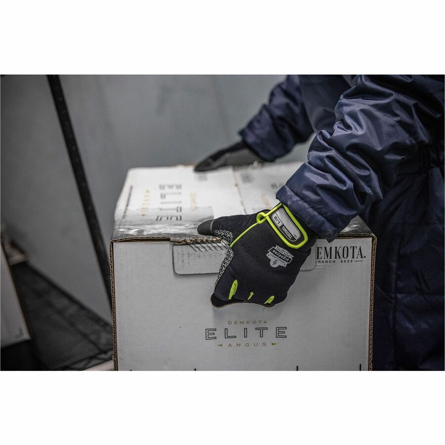 Ergodyne ProFlex 850 Insulated Freezer Gloves