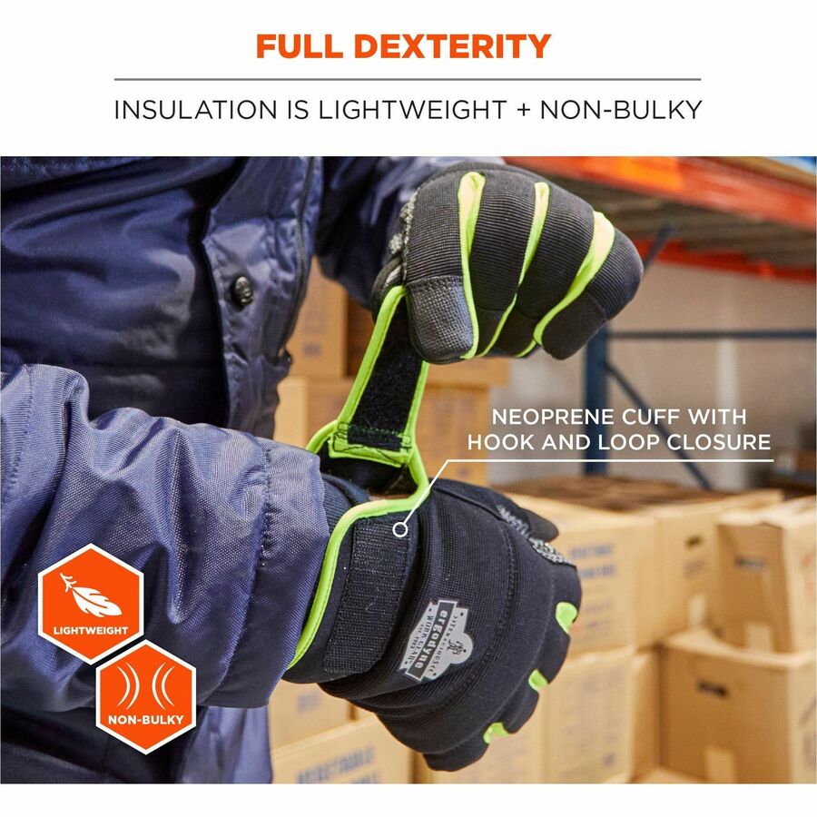 Ergodyne ProFlex 850 Insulated Freezer Gloves