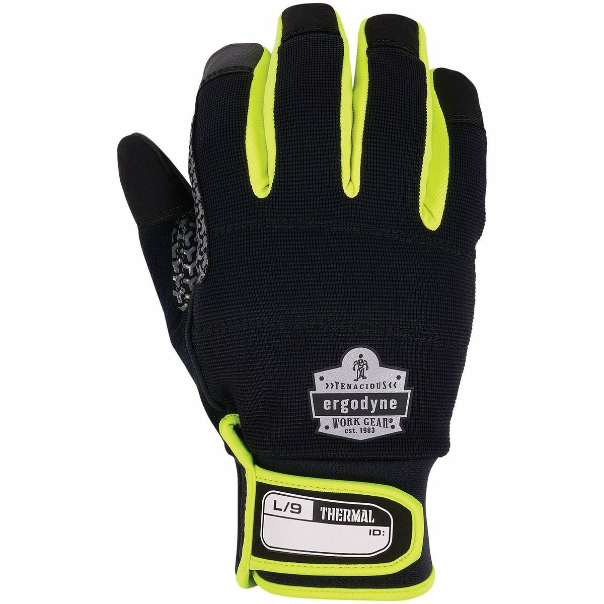 Ergodyne ProFlex 850 Insulated Freezer Gloves