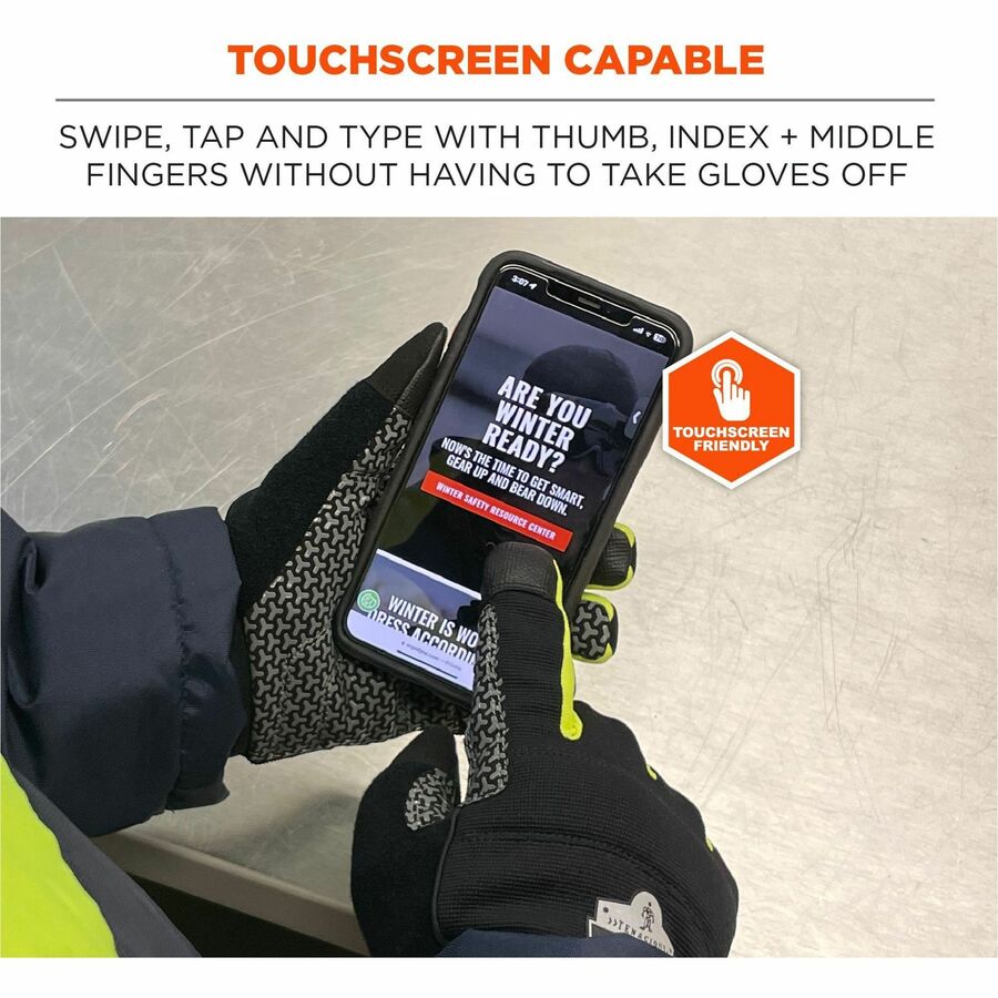Ergodyne ProFlex 850 Insulated Freezer Gloves