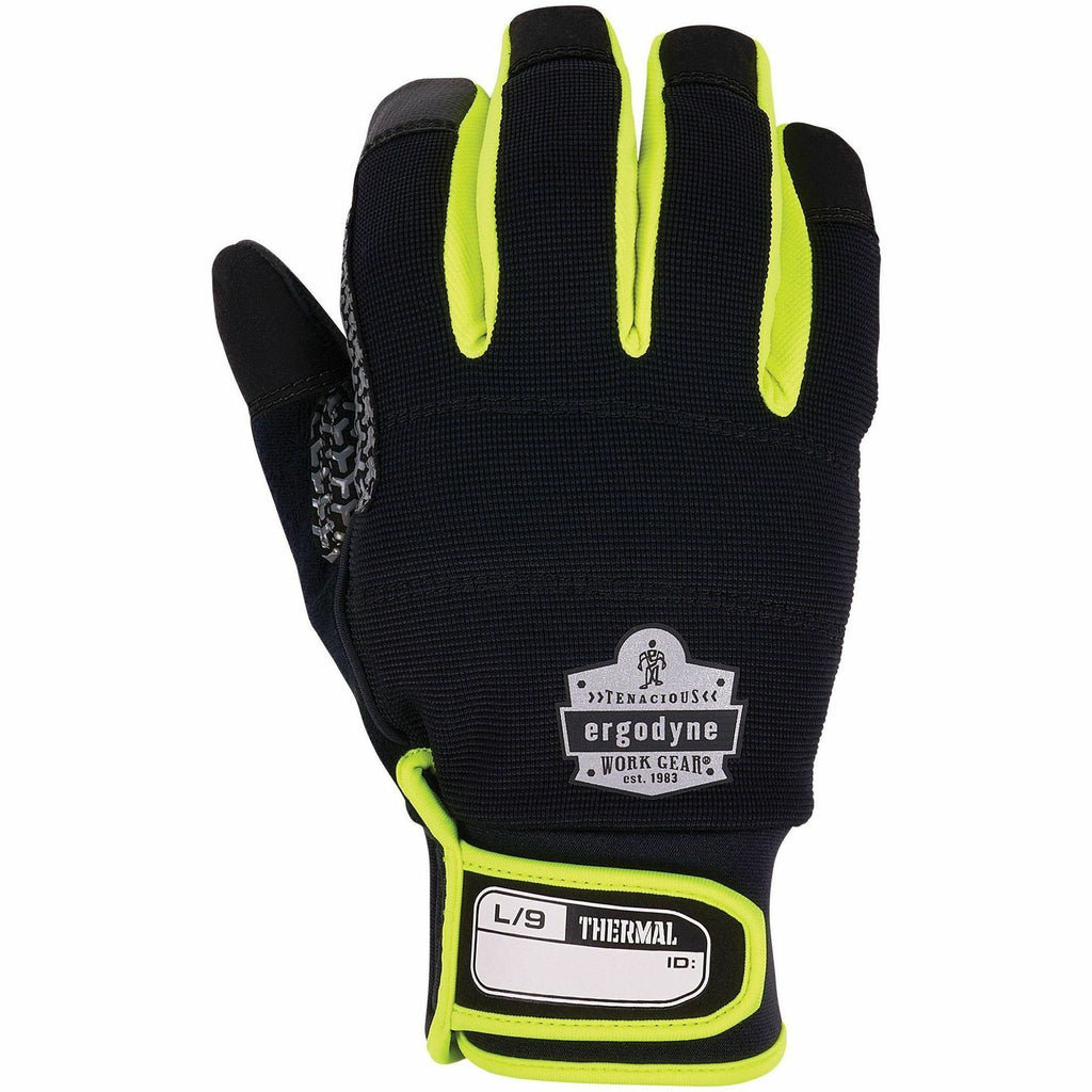 Ergodyne ProFlex 850 Insulated Freezer Gloves