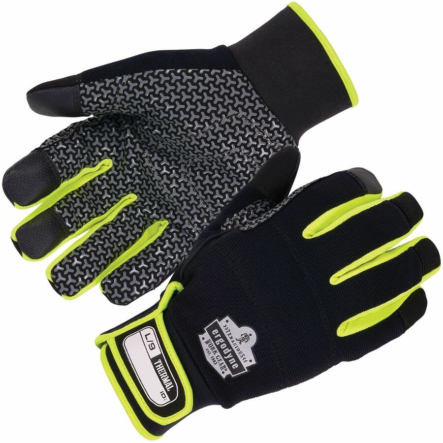 Ergodyne ProFlex 850 Insulated Freezer Gloves