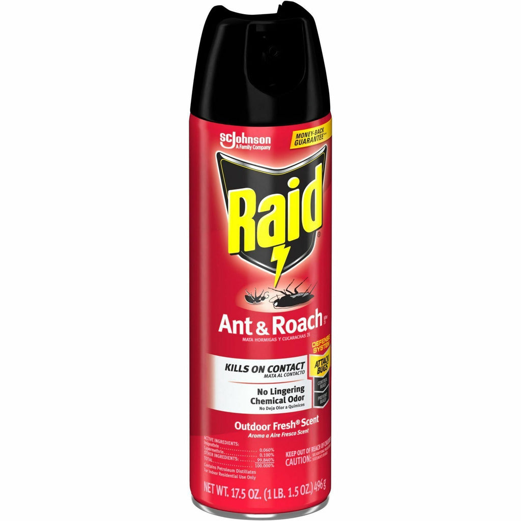 Raid Ant & Roach Killer Spray