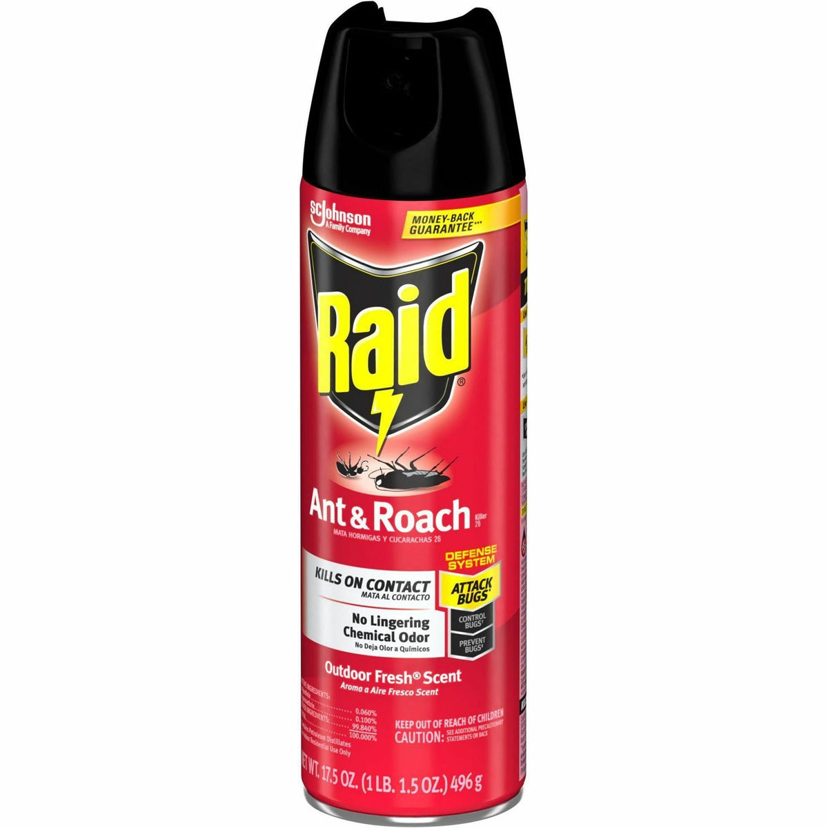 Raid Ant & Roach Killer Spray