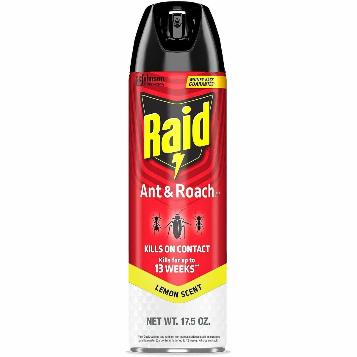 Raid Ant & Roach Killer Spray