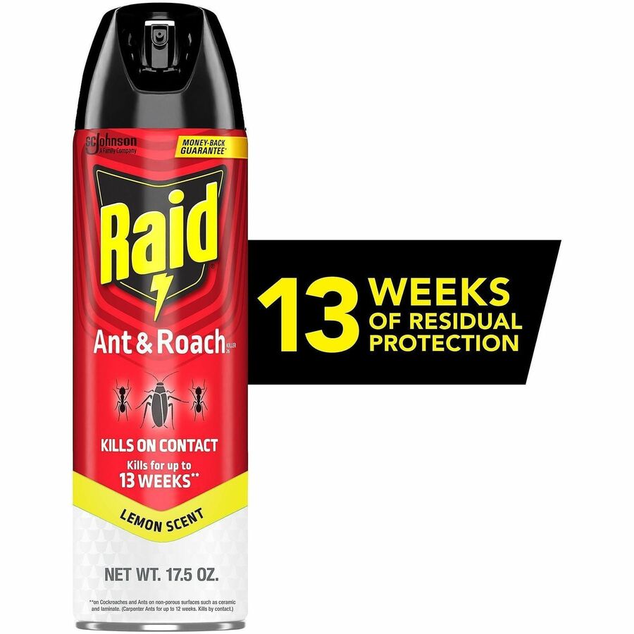 Raid Ant & Roach Killer Spray