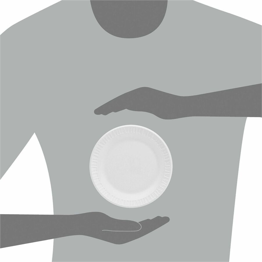 Dart Concorde Foam Dinnerware Plate