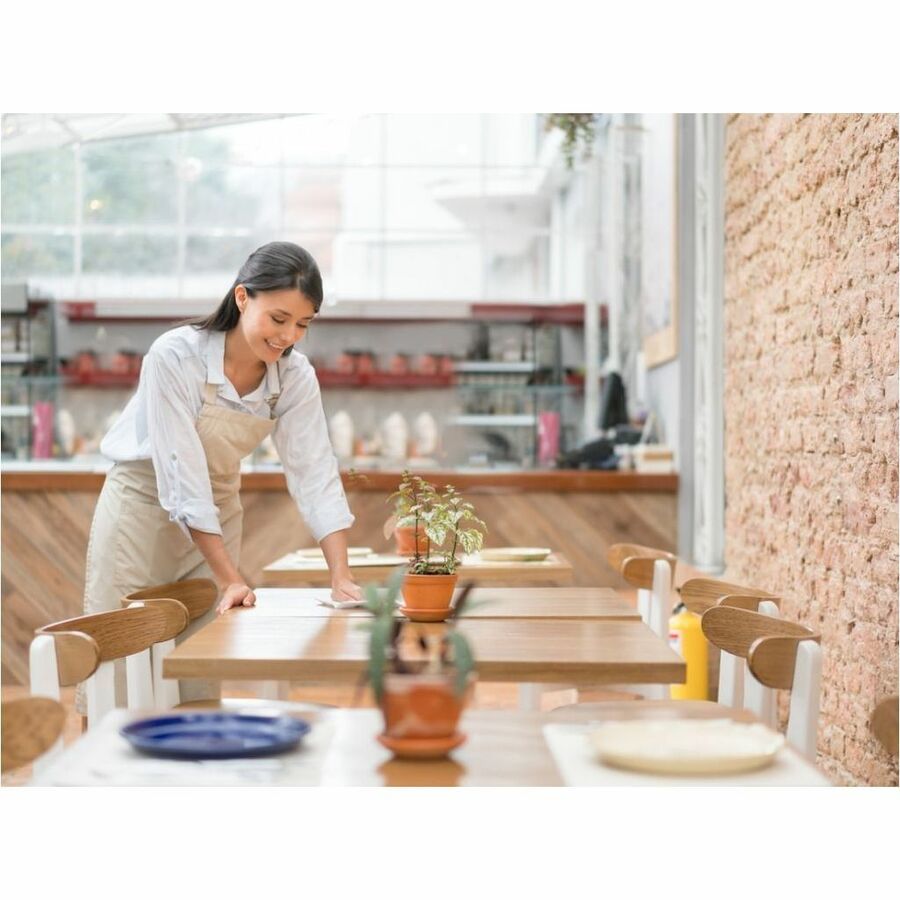 Sani Professional Sanitizing Wipe