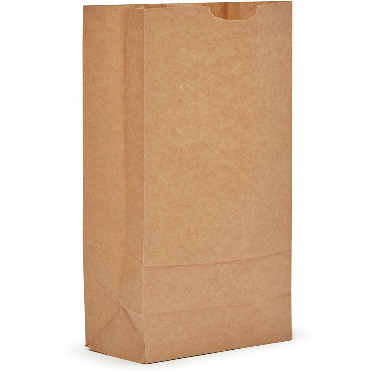 AJM #10 Kraft Paper Grocery Bags
