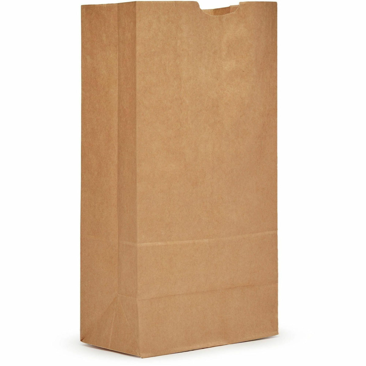 AJM #16 Kraft Paper Grocery Bags