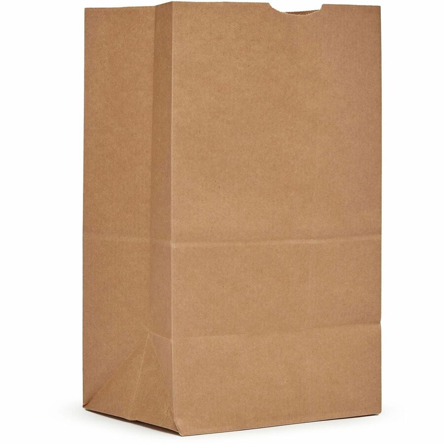 AJM #20 Squat Heavy-Duty Kraft Paper Grocery Bags
