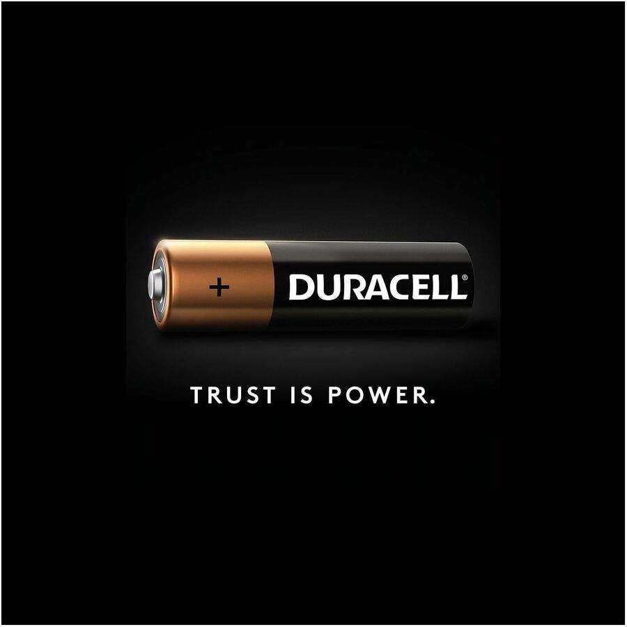 Duracell CopperTop Alkaline AAA Batteries