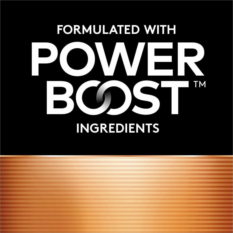 Duracell CopperTop Alkaline AAA Batteries