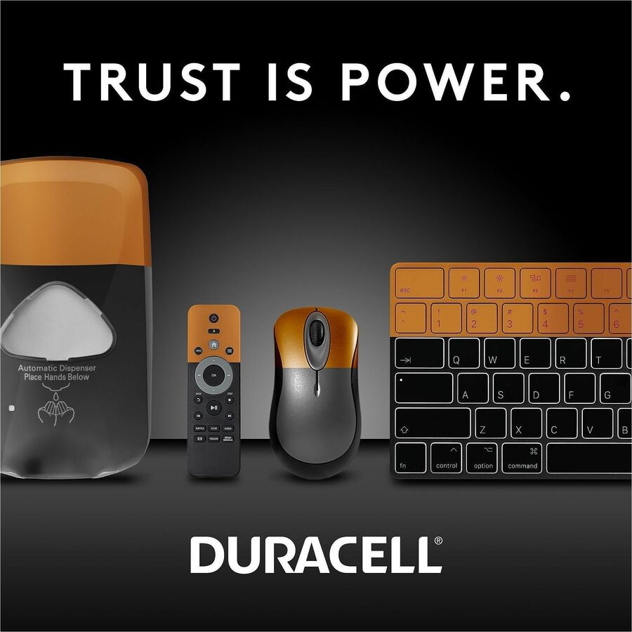 Duracell CopperTop Alkaline AAA Batteries