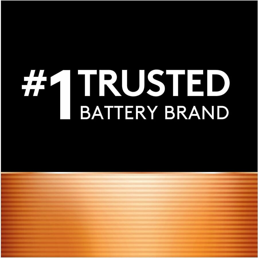 Duracell CopperTop Alkaline AAA Batteries