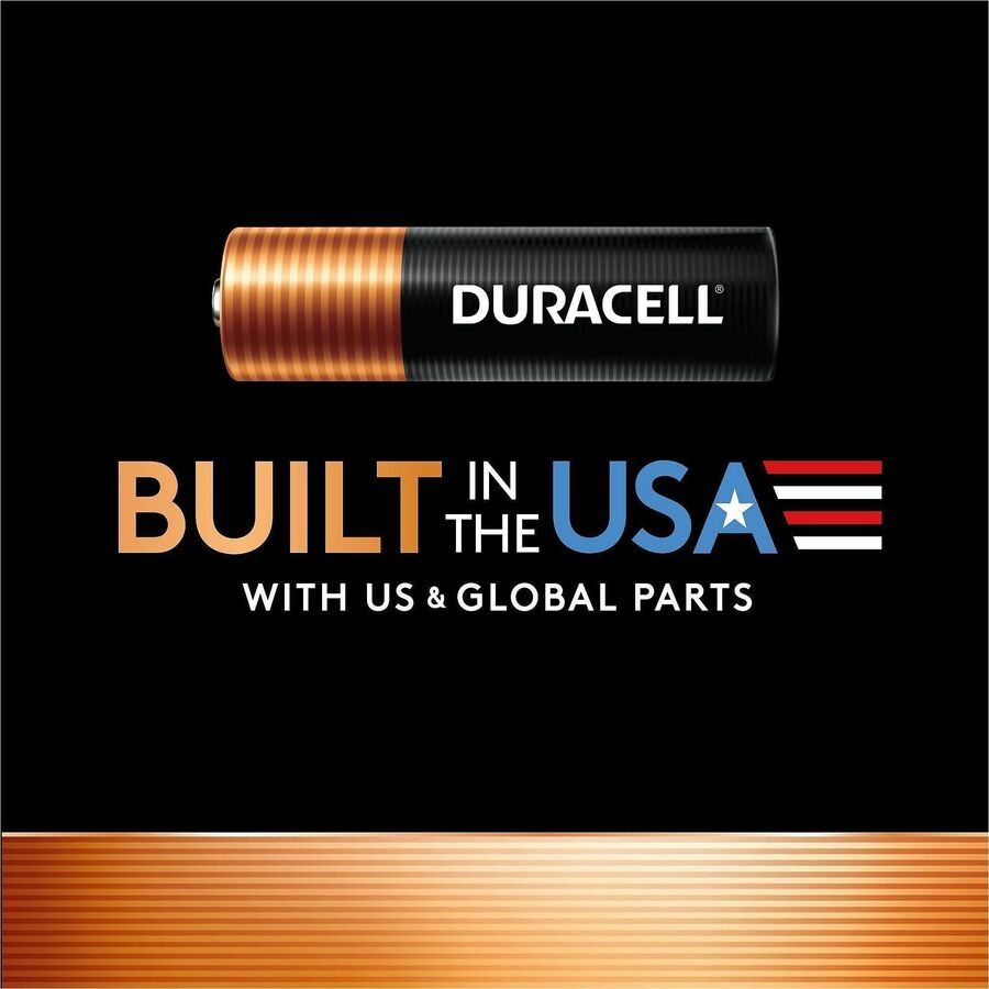 Duracell CopperTop Alkaline AAA Batteries