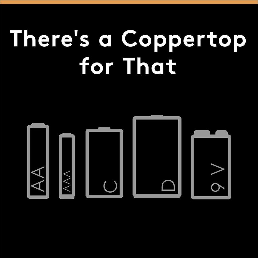 Duracell CopperTop Alkaline AAA Batteries