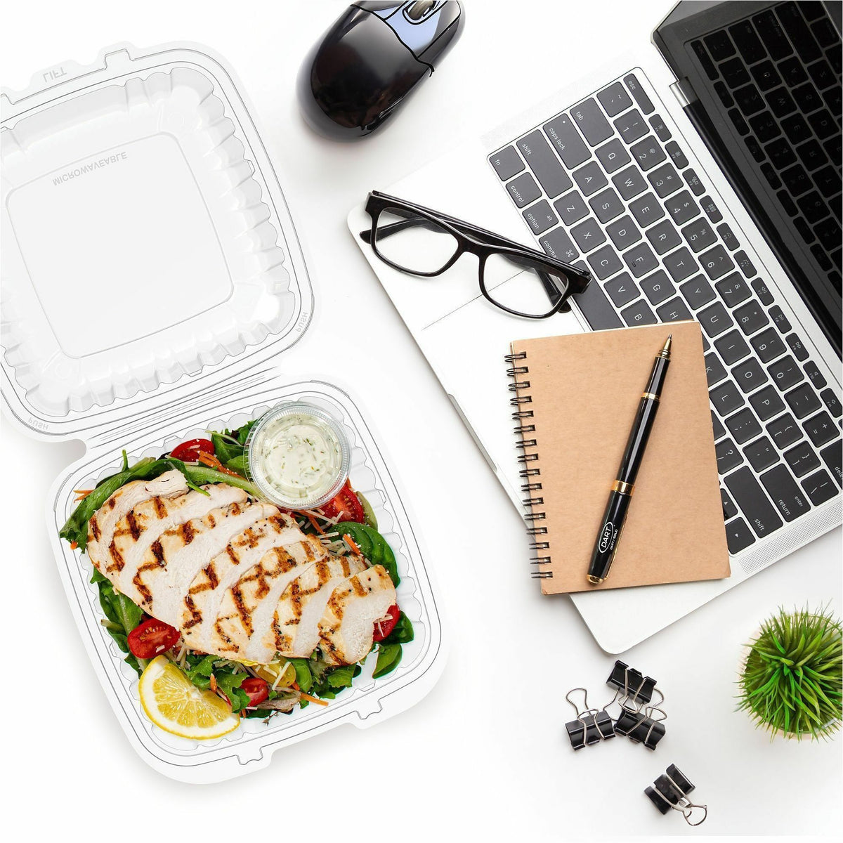 Dart 9" Hinged Food Container
