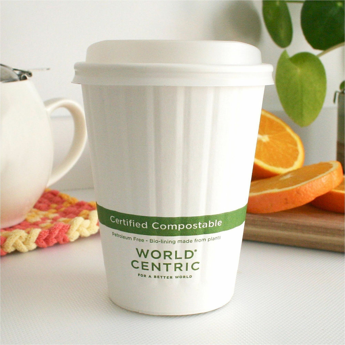 World Centric 12oz-22oz Clear Cold Cup Lids