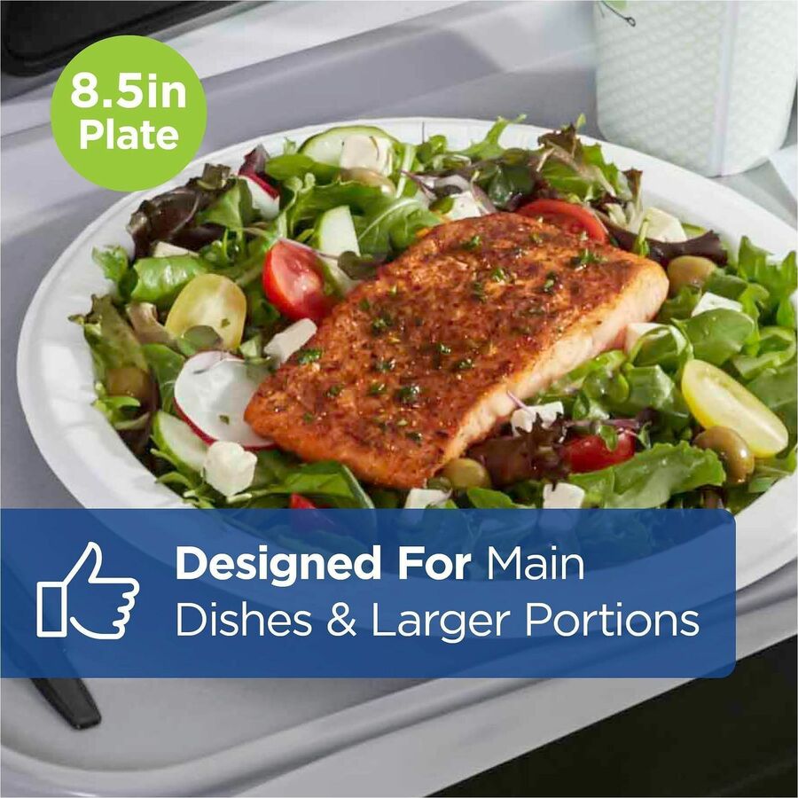 Dixie Foods Ultra Heavy-Weight Paper Plate
