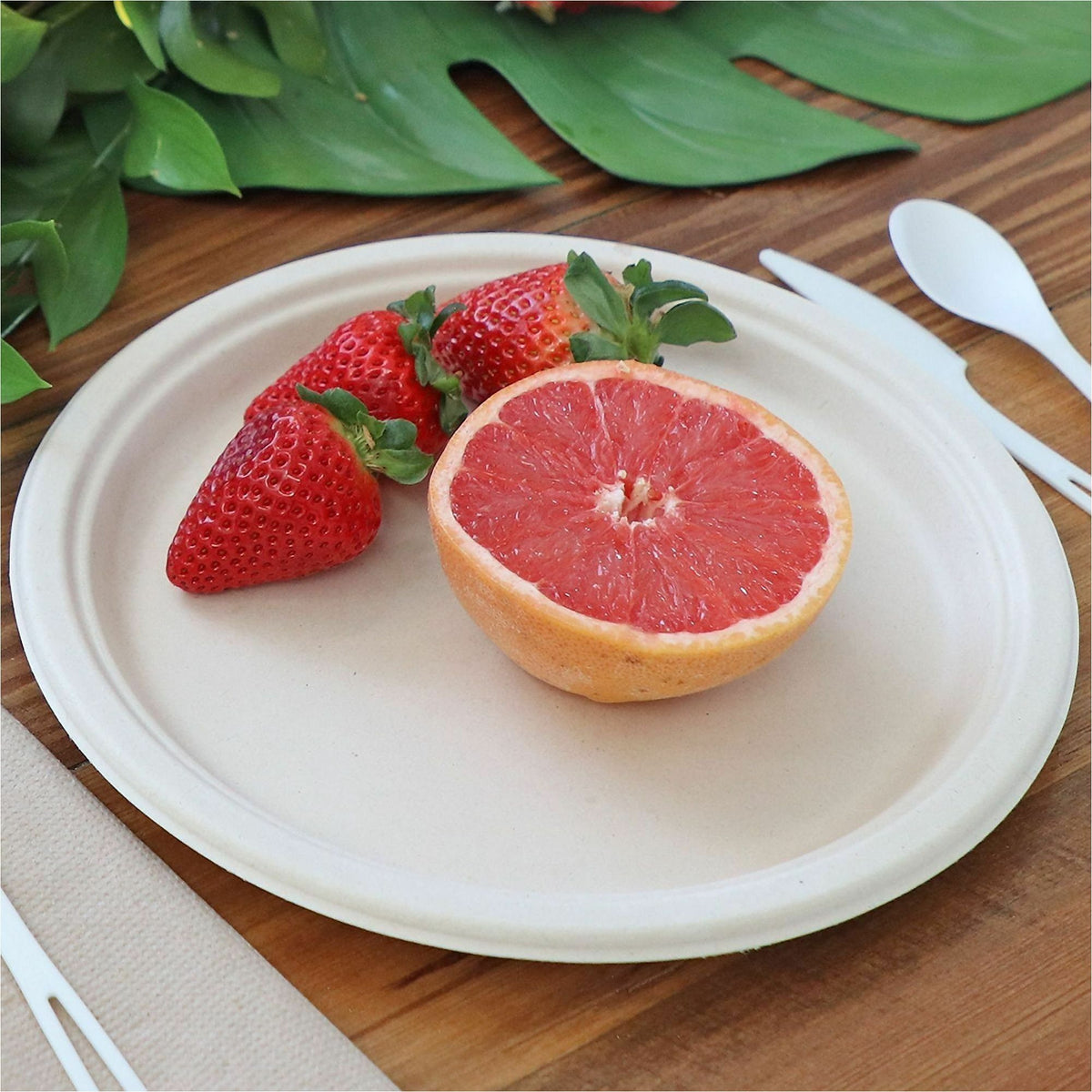 World Centric 10" Compostable Fiber Plates