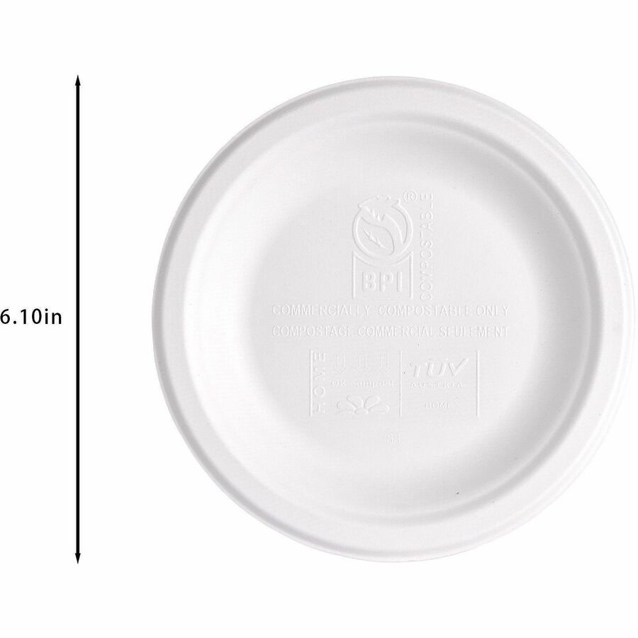 Genuine Joe BPI Certified Compostable Paper Plate