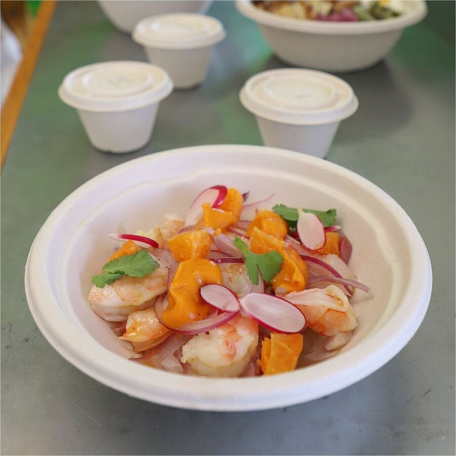 World Centric Compostable Fiber Bowl