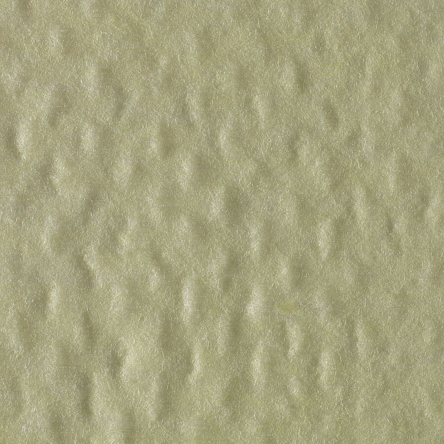 Brawny® Professional Disposable Dusting Cloths